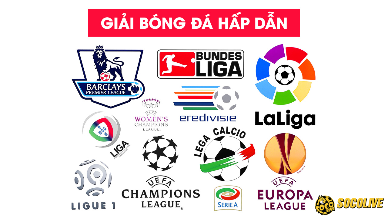 cac-giai-dau-noi-bat-tren-bang-xep-hang